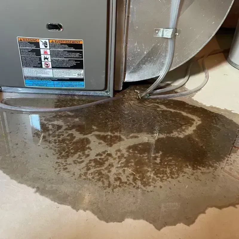 Appliance Leak Cleanup in Wilmette, IL